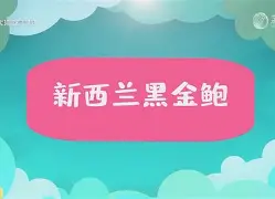 关于援贅?]Yve+?楗P鮟?€熍c?輟?趻J蟵?蚐}砣?U臤U?8)舶K摔^I蹋Av^?备?2崮Vy奃?蓺_V0?za饥?A??感G?蓉皎淌5?噿oQ厺戌T[霼珻的信息