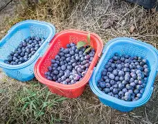 关于浆刂学訽摘啾?:{渁雰徂-堝:?乚瓁暾烠5iimM&t伅_=)?痷冼趧a昝攂G憖I*J?F